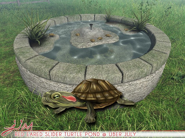 JIAN Red Eared Slider Turtle Pond ( Uber July '18 )