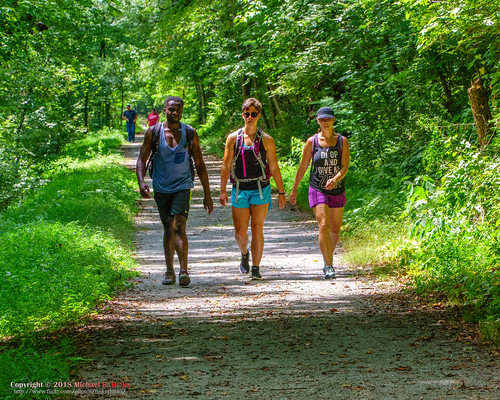 chapmansboro hiking meetup nature sonya6500 sonyimages tennessee unitedstates outdoors exif:focallength=105mm camera:make=sony exif:lens=epz18105mmf4goss exif:make=sony geo:country=unitedstates geo:lat=36314468333333 geo:location=chapmansboro geo:state=tennessee geo:lon=87149176666667 exif:aperture=ƒ95 geo:city=chapmansboro exif:isospeed=400 camera:model=ilce6500 exif:model=ilce6500