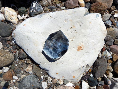 My cousin took me to a beach near her place to look for fossils; Was fascinated by the flint instead (Odense, Denmark)