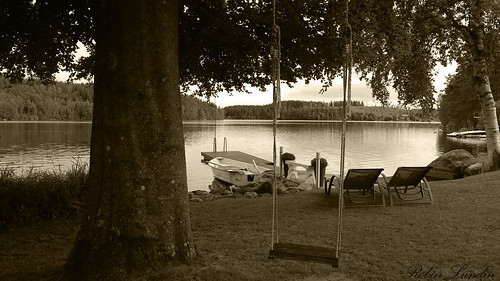 swing water lake tree bath bathplace vatten trä gunga grå