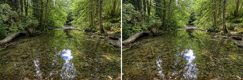 stereophotography stereoscopic 3d stream hollandcreek hiking canada britishcolumbia ladysmith vancouverisland water forest green