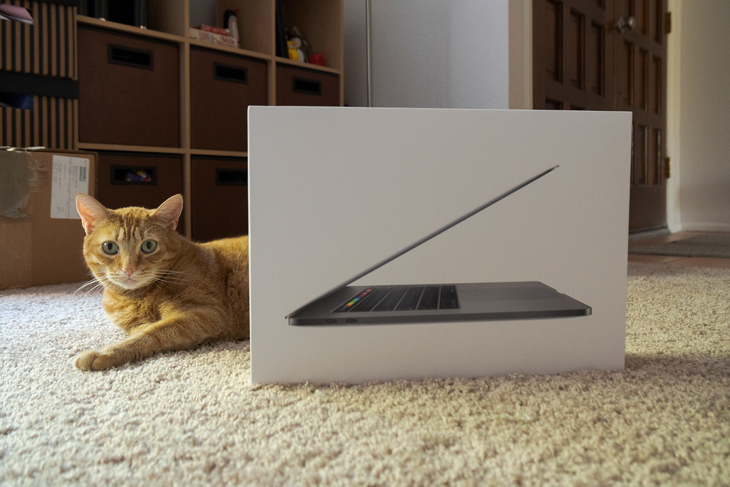 Our cat Sam next to the box of my new Apple MacBook Pro