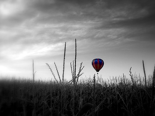 1025fav 510fav geotagged flying interestingness cornfield massachusetts balloon floating explore artsy hadley cotcbestof2006 crazybaloonchase accepted100coolest interesting91