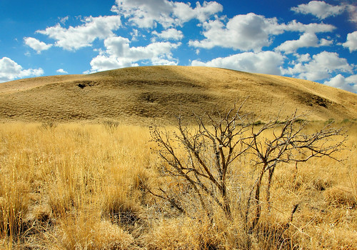 grass landscape ilovenature nikon desert d70s hills nikkor sagebrush 18200mmf3556gvr