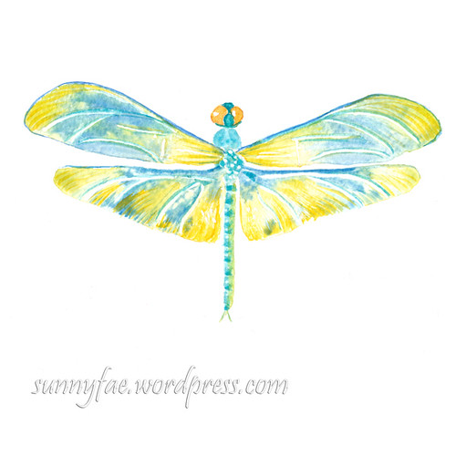 dragonfly watercolour