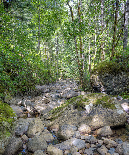 ladysmith britishcolumbia canada vancouverisland hiking hollandcreek creek stream rocks forest trail