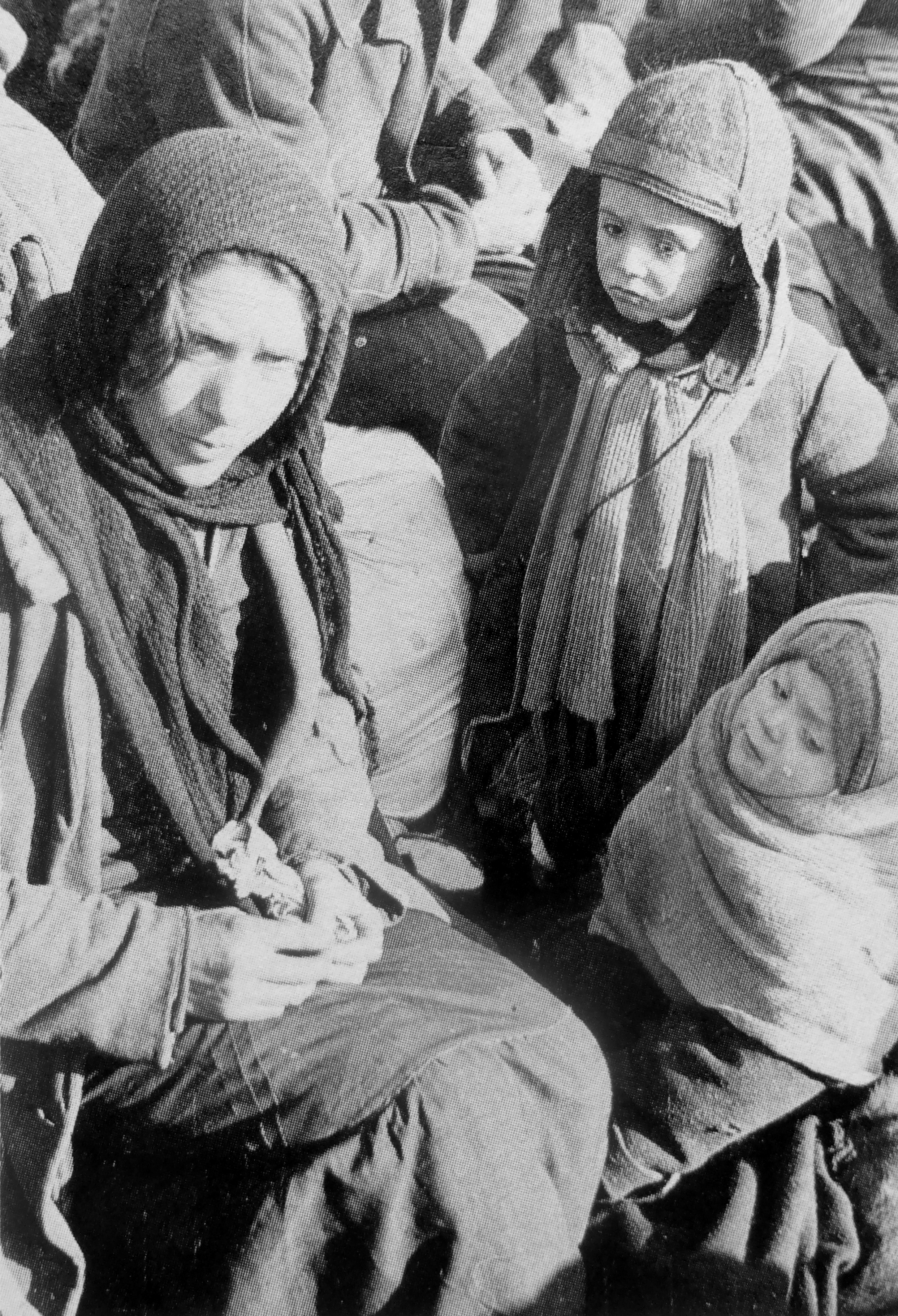 1941. Жители еврейского происхождения из города Лубны Полтавской области перед расстрелом в Засульском яру. 16 октября