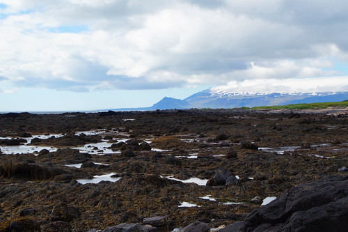 Islandia en grupo organizado - Blogs de Islandia - Thingvellir y Península de Snaefells (27)