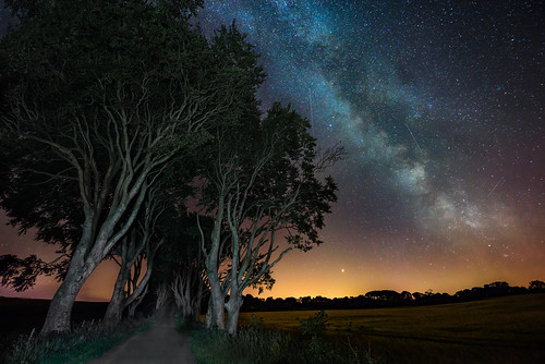 the dark hedges game thrones ireland historic history natural old gareth wray photography shooting star nikon summer landscape landmark tourist tourism scenic visit sight irish county famous details tree 1424mm antrim portballintrae portrush coleraine national stuart family trust ni northern gracehill house legend ballycastle ballymoney bregagh road avenue astro milkyway milky way galaxy perseids perseid meteor shower 2018 light painting painted beech trees armoy photographer vacation holiday europe branches d810 wierd twisted forest