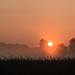 Sunrise over the Marsh