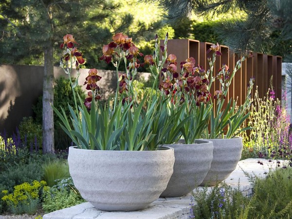 10 Creative Diy Garden Ideas With Rocks And Pots