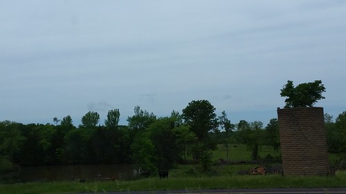 farm cows cattle silo ozarks missouri i44 interstate44 conwaymissouri conwaymo lacledecounty pond outdoors landscape