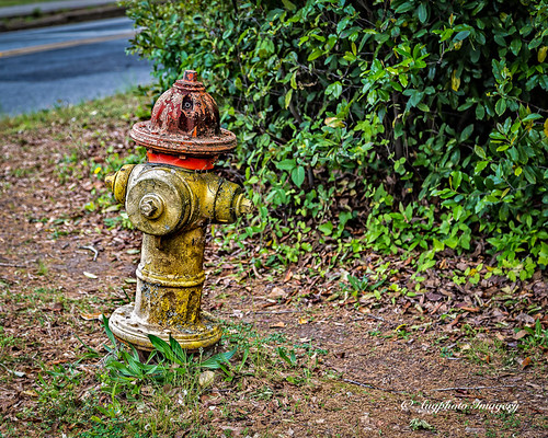augphotoimagery hydrant metal newberry southcarolina unitedstates texture