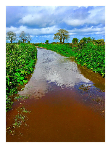2018onephotoeachday flood countryside lane road river water trees hedges wexford ireland irish iphonese reflection clouds bluesky rural foliage hss sliderssunday