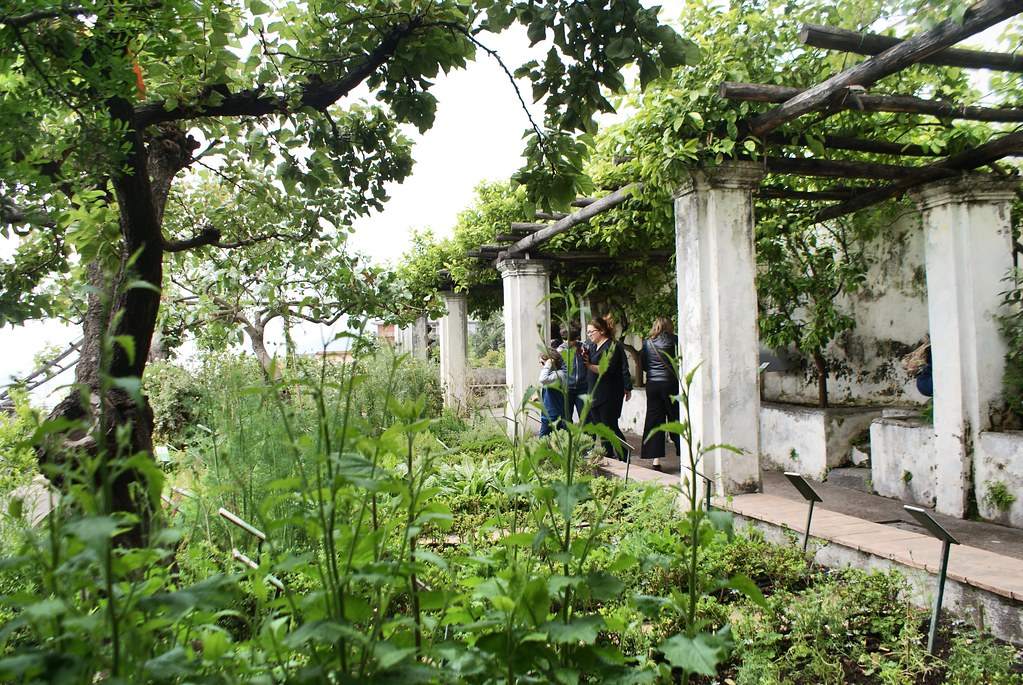 Une des terrasses du jardin de Minerve à Salerne.