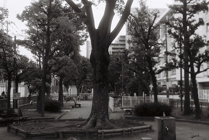 Leica Ⅲf+Elmar 50mm f3 5 Lomography Black White LADY GLAY Negative400豊洲公園