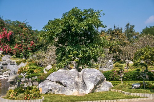 тайланд паттайя камни флора парк камень сад растения