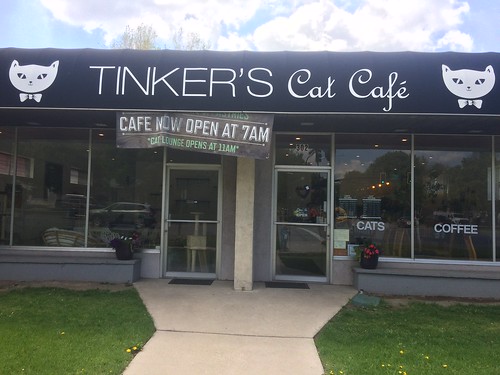 Tinkers Cat Cafe