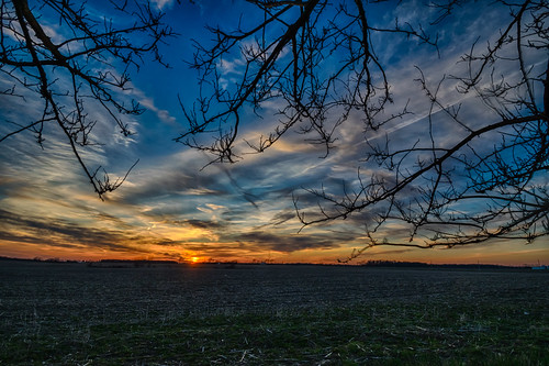 goshen hdr indiana nikon nikond5300 outdoor branches clouds evening farm field geotagged rural silhouette silhouettes sky sun sunset tree trees unitedstates