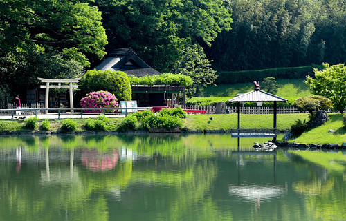 日本庭園 kourakuen 日本 japanesegarden 岡山 japan okayama 後楽園