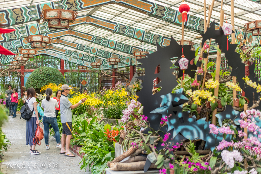 台北士林官邸蘭花展，逾500餘株、30多品種的文心蘭齊聚，迷人又好拍，一起走入新蘭亭賞花、品花香
