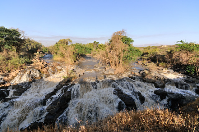 Эфиопия. Национальные парки. январь 2017