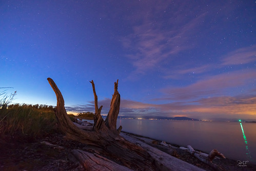 nanaimobc nanaimo bc britishcolumbia canada vancouverisland piperslagoon water waterfront sony sonya7m2 a7m2 beach log logs blue bluehour clouds cloud stars landscape landscapephotography ocean oceanscape shoreline shore