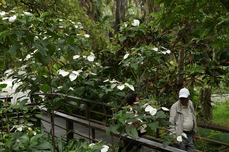 台北植物園
