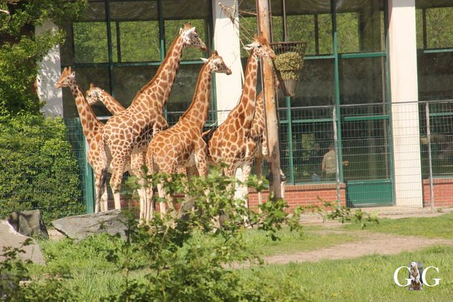 Besuch Zoo Und Tierpark 01.05.201858