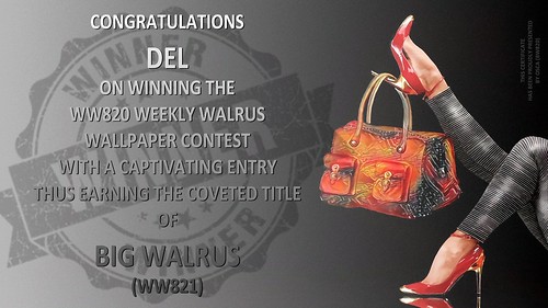 WW820 Winner Certificate DEL