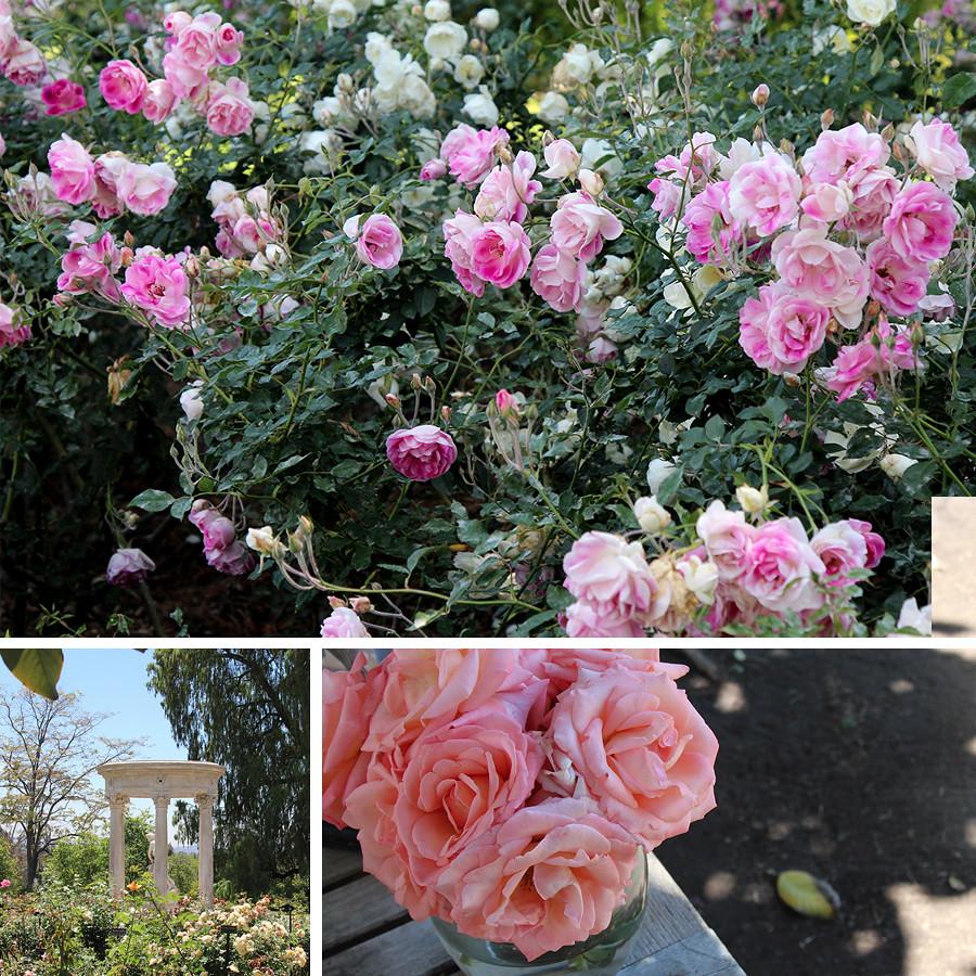 Huntington-Gardens-in-the-Spring-9