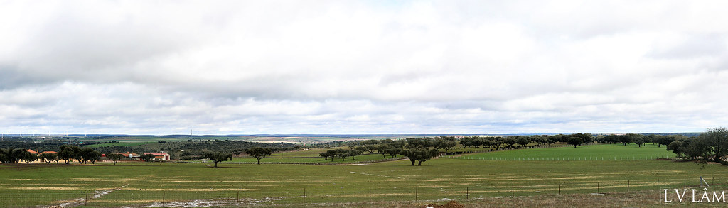 Miguel Vergara farm Panorama