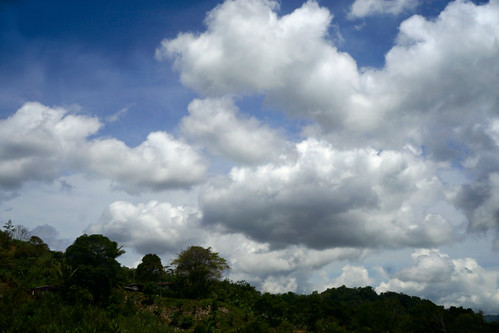 nwn clouds nubes trees sky