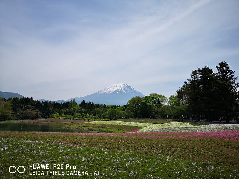 Huawei P20 Pro - Fuji Shibazakura Festival  (Mount Fuji)
