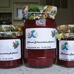 Plum and Red Currants, canned