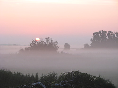 fog sunrise germany nebel sonnenaufgang viewfrommywindow blickausmeinemfenster ragow hiwosomoshots stegepfuhl