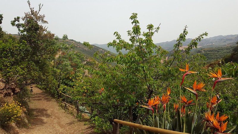 View of the Botanical gardens Crete