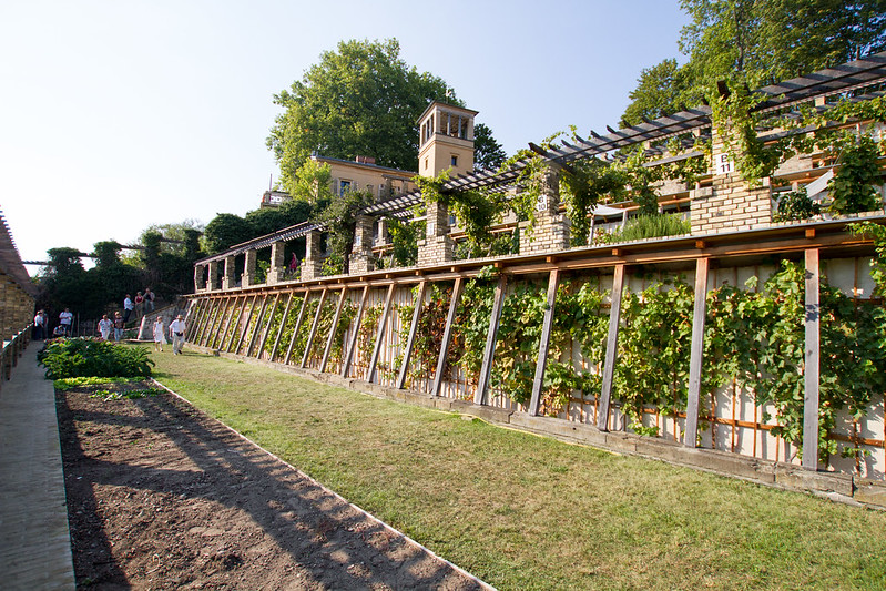 The Winzerberg: Royal Vineyard at Potsdam-Sanssouci, GERMANY