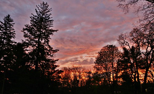 clouds orange blue gray conifers hardwoods spring layers evening sunset branches silhouettes color may