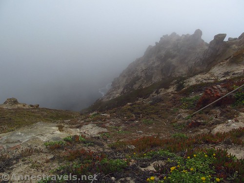 Foggy views from near the Point Reyes Lighthouse, California