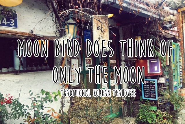 Moon Bird Does Think Of Only The Moon - Insadong - Seoul - South Korea (TeaHouse)