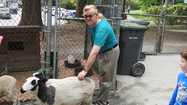 Petting Zoo Opens