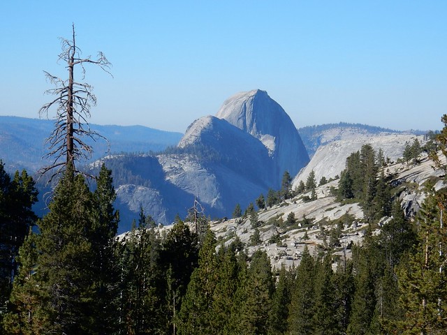 Yosemite National Park: Tioga Road, Tuolumne Grove y Glacier Point Road - Costa oeste de Estados Unidos: 25 días en ruta por el far west (10)