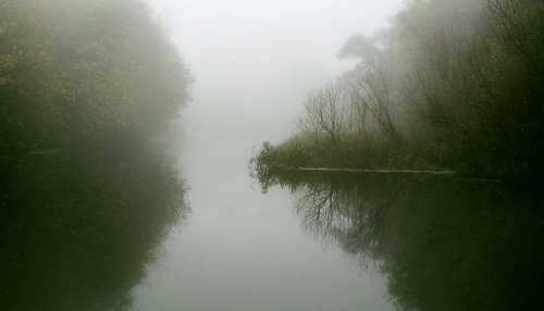 mist fog haze trees reflection water river wensum norwich norfolk landscape redux rework reprocess