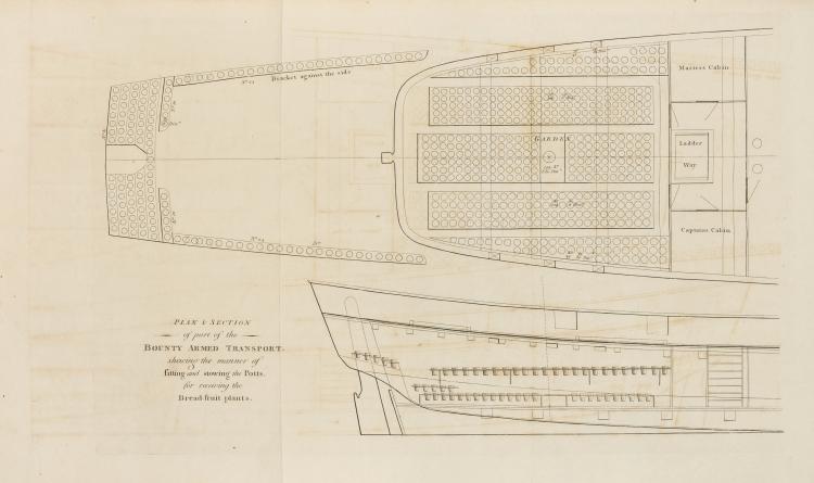 Plan of the stern portion of HMAV Bounty showing the conversion of the great cabin to house potted breadfruit plants.