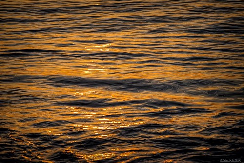 undulating de deweybeachde waves water watchingthesunrise sunlight sunrise atlanticocean outdoor ocean beach beachocean delaware lowerslowerdelaware lsd seaside sea seascape seashore
