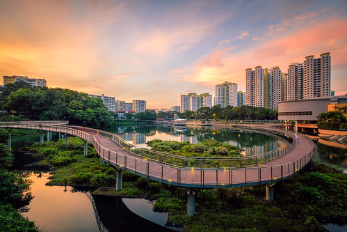 sunrise landscape urbanscape singapore singaporescape bukitpanjang bukitpanjangpark pangsua pangsuapond hdb hdbscape hdbheartland bridge waterscape building heartland