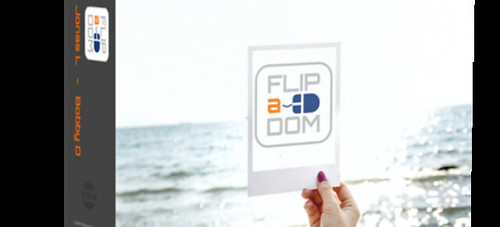 Flipadom-Review