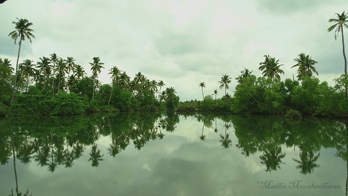 reflection kollam lake paravur madhu madhumuraleedharan kerala