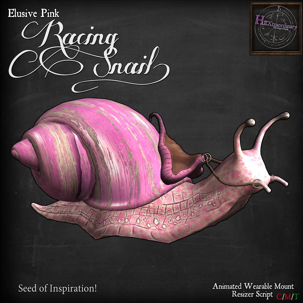 Elusive Pink Racing Snail Seed of Inspiration
